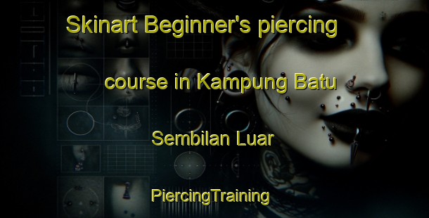 Skinart Beginner's piercing course in Kampung Batu Sembilan Luar | #PiercingTraining #PiercingClasses #SkinartTraining-Malaysia