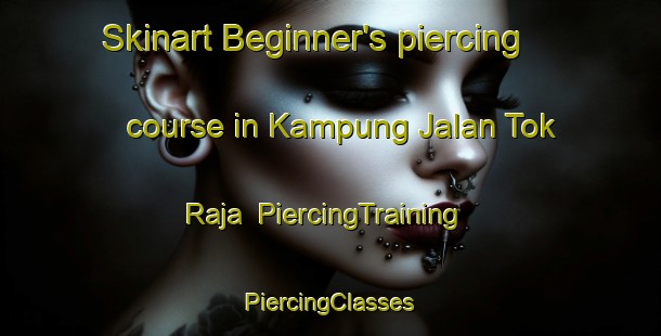 Skinart Beginner's piercing course in Kampung Jalan Tok Raja | #PiercingTraining #PiercingClasses #SkinartTraining-Malaysia