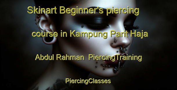 Skinart Beginner's piercing course in Kampung Parit Haja Abdul Rahman | #PiercingTraining #PiercingClasses #SkinartTraining-Malaysia