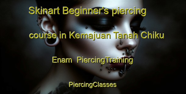 Skinart Beginner's piercing course in Kemajuan Tanah Chiku Enam | #PiercingTraining #PiercingClasses #SkinartTraining-Malaysia