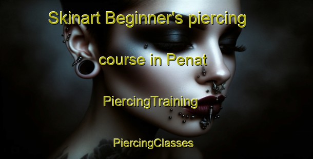 Skinart Beginner's piercing course in Penat | PiercingTraining | PiercingClasses | SkinartTraining-Malaysia