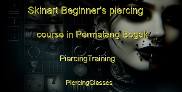 Skinart Beginner's piercing course in Permatang Bogak | PiercingTraining | PiercingClasses | SkinartTraining-Malaysia
