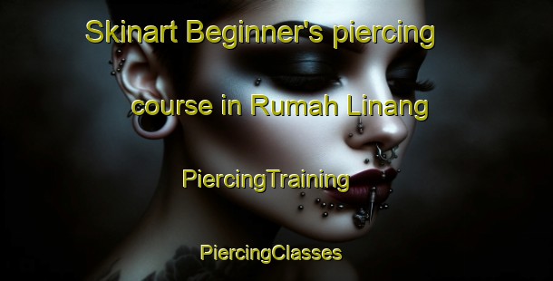 Skinart Beginner's piercing course in Rumah Linang | PiercingTraining | PiercingClasses | SkinartTraining-Malaysia