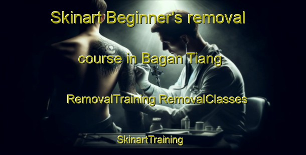 Skinart Beginner's removal course in Bagan Tiang | #RemovalTraining #RemovalClasses #SkinartTraining-Malaysia