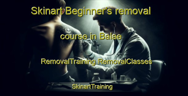 Skinart Beginner's removal course in Balae | #RemovalTraining #RemovalClasses #SkinartTraining-Malaysia