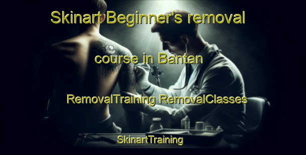 Skinart Beginner's removal course in Bantan | #RemovalTraining #RemovalClasses #SkinartTraining-Malaysia