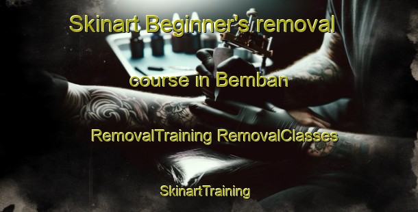 Skinart Beginner's removal course in Bemban | #RemovalTraining #RemovalClasses #SkinartTraining-Malaysia