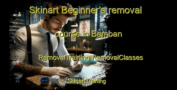 Skinart Beginner's removal course in Bemban | #RemovalTraining #RemovalClasses #SkinartTraining-Malaysia