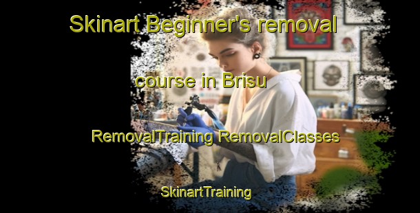 Skinart Beginner's removal course in Brisu | #RemovalTraining #RemovalClasses #SkinartTraining-Malaysia