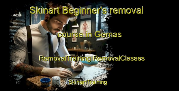 Skinart Beginner's removal course in Gemas | #RemovalTraining #RemovalClasses #SkinartTraining-Malaysia