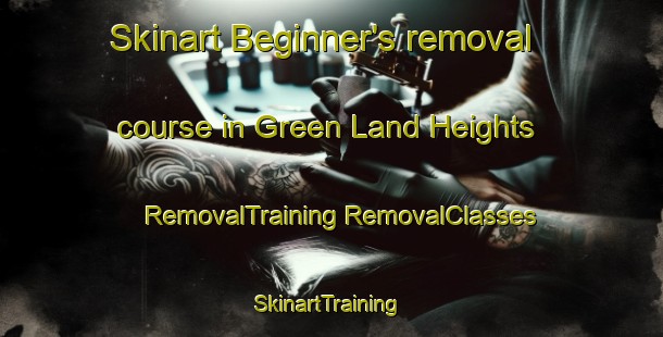 Skinart Beginner's removal course in Green Land Heights | #RemovalTraining #RemovalClasses #SkinartTraining-Malaysia