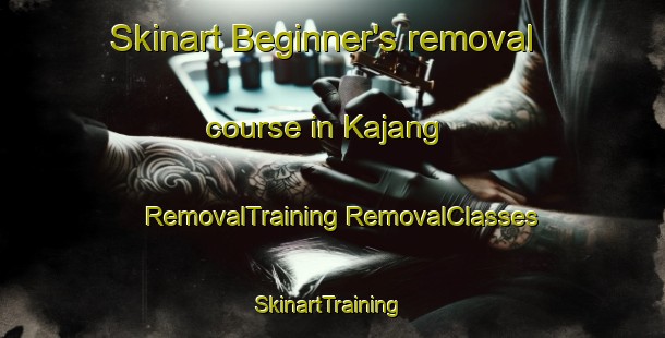 Skinart Beginner's removal course in Kajang | #RemovalTraining #RemovalClasses #SkinartTraining-Malaysia