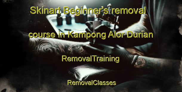 Skinart Beginner's removal course in Kampong Alor Durian | RemovalTraining | RemovalClasses | SkinartTraining-Malaysia