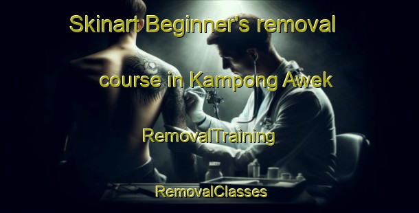 Skinart Beginner's removal course in Kampong Awek | RemovalTraining | RemovalClasses | SkinartTraining-Malaysia
