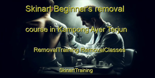 Skinart Beginner's removal course in Kampong Ayer Terjun | #RemovalTraining #RemovalClasses #SkinartTraining-Malaysia