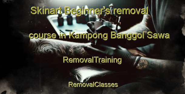 Skinart Beginner's removal course in Kampong Banggol Sawa | RemovalTraining | RemovalClasses | SkinartTraining-Malaysia