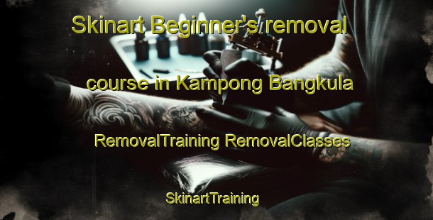 Skinart Beginner's removal course in Kampong Bangkula | #RemovalTraining #RemovalClasses #SkinartTraining-Malaysia