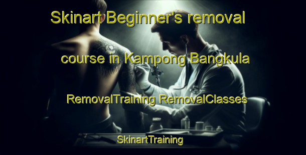 Skinart Beginner's removal course in Kampong Bangkula | #RemovalTraining #RemovalClasses #SkinartTraining-Malaysia