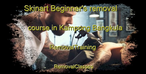 Skinart Beginner's removal course in Kampong Bangkula | RemovalTraining | RemovalClasses | SkinartTraining-Malaysia