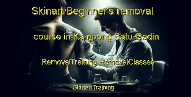 Skinart Beginner's removal course in Kampong Batu Gadin | #RemovalTraining #RemovalClasses #SkinartTraining-Malaysia