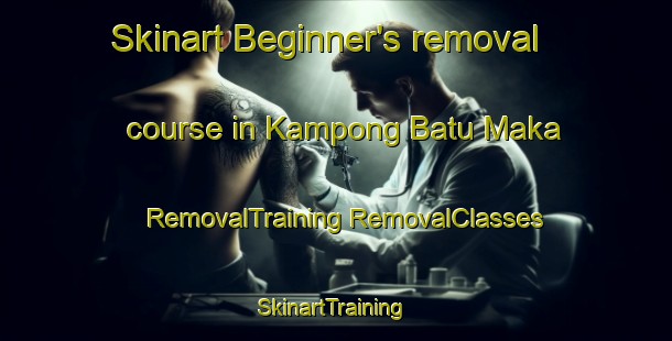 Skinart Beginner's removal course in Kampong Batu Maka | #RemovalTraining #RemovalClasses #SkinartTraining-Malaysia