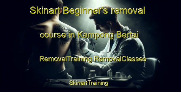 Skinart Beginner's removal course in Kampong Bertai | #RemovalTraining #RemovalClasses #SkinartTraining-Malaysia