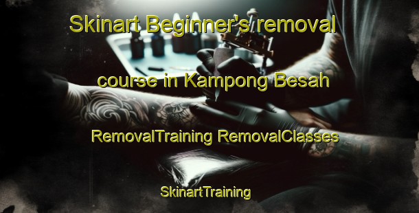 Skinart Beginner's removal course in Kampong Besah | #RemovalTraining #RemovalClasses #SkinartTraining-Malaysia