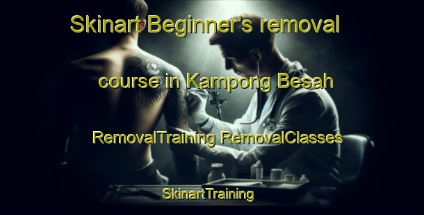 Skinart Beginner's removal course in Kampong Besah | #RemovalTraining #RemovalClasses #SkinartTraining-Malaysia