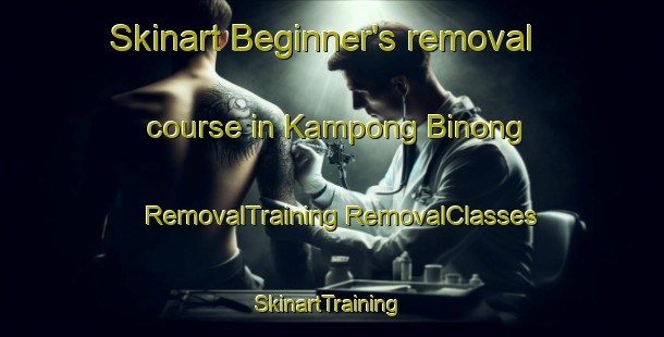 Skinart Beginner's removal course in Kampong Binong | #RemovalTraining #RemovalClasses #SkinartTraining-Malaysia