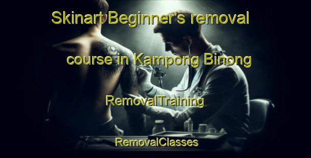 Skinart Beginner's removal course in Kampong Binong | RemovalTraining | RemovalClasses | SkinartTraining-Malaysia