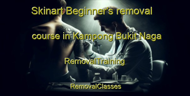 Skinart Beginner's removal course in Kampong Bukit Naga | RemovalTraining | RemovalClasses | SkinartTraining-Malaysia
