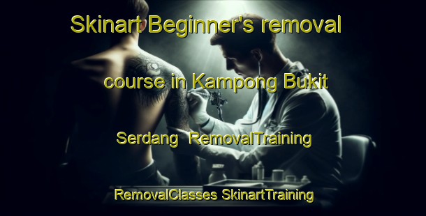 Skinart Beginner's removal course in Kampong Bukit Serdang | #RemovalTraining #RemovalClasses #SkinartTraining-Malaysia