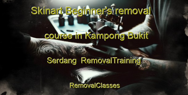 Skinart Beginner's removal course in Kampong Bukit Serdang | RemovalTraining | RemovalClasses | SkinartTraining-Malaysia