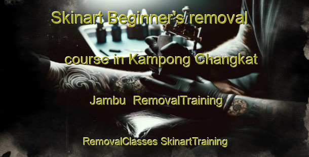 Skinart Beginner's removal course in Kampong Changkat Jambu | #RemovalTraining #RemovalClasses #SkinartTraining-Malaysia