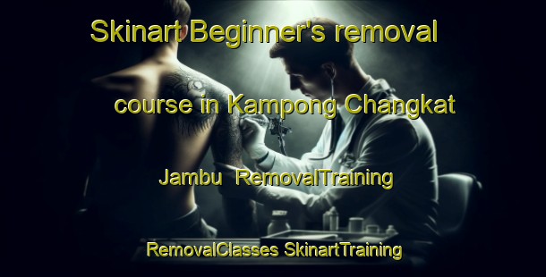 Skinart Beginner's removal course in Kampong Changkat Jambu | #RemovalTraining #RemovalClasses #SkinartTraining-Malaysia