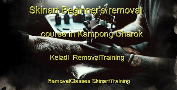 Skinart Beginner's removal course in Kampong Charok Keladi | #RemovalTraining #RemovalClasses #SkinartTraining-Malaysia