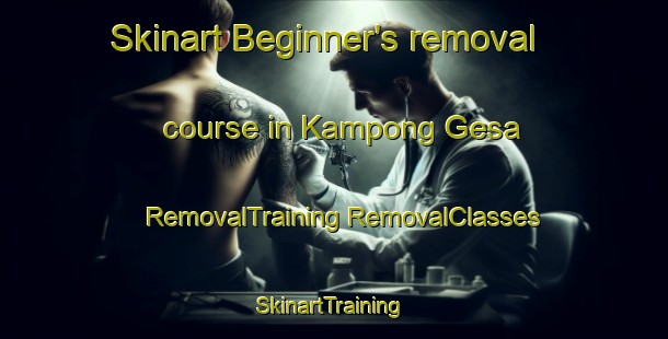 Skinart Beginner's removal course in Kampong Gesa | #RemovalTraining #RemovalClasses #SkinartTraining-Malaysia