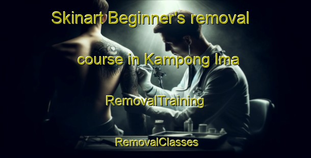 Skinart Beginner's removal course in Kampong Ima | RemovalTraining | RemovalClasses | SkinartTraining-Malaysia