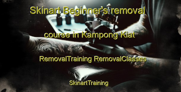 Skinart Beginner's removal course in Kampong Kiat | #RemovalTraining #RemovalClasses #SkinartTraining-Malaysia