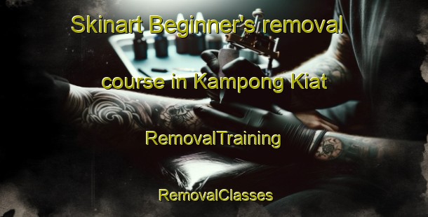 Skinart Beginner's removal course in Kampong Kiat | RemovalTraining | RemovalClasses | SkinartTraining-Malaysia