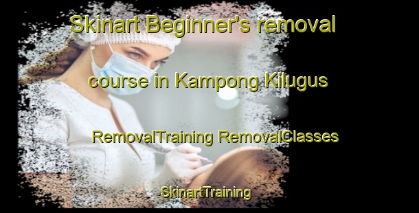 Skinart Beginner's removal course in Kampong Kilugus | #RemovalTraining #RemovalClasses #SkinartTraining-Malaysia