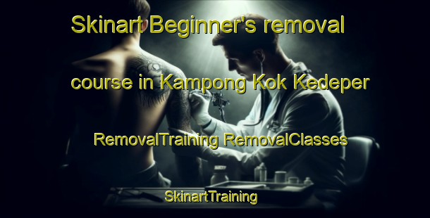 Skinart Beginner's removal course in Kampong Kok Kedeper | #RemovalTraining #RemovalClasses #SkinartTraining-Malaysia