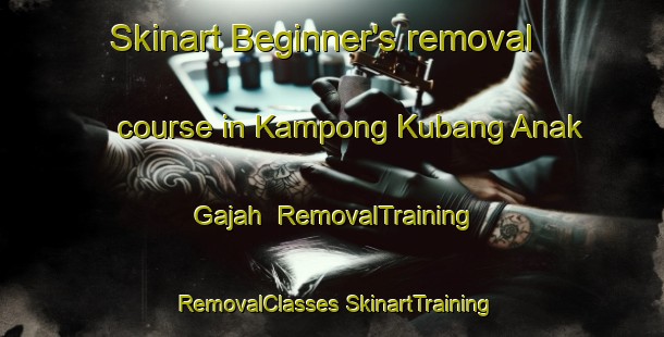 Skinart Beginner's removal course in Kampong Kubang Anak Gajah | #RemovalTraining #RemovalClasses #SkinartTraining-Malaysia