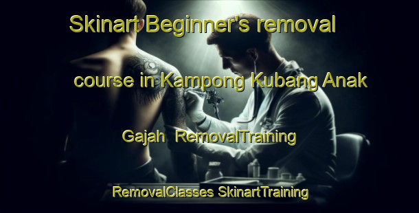 Skinart Beginner's removal course in Kampong Kubang Anak Gajah | #RemovalTraining #RemovalClasses #SkinartTraining-Malaysia