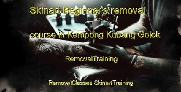 Skinart Beginner's removal course in Kampong Kubang Golok | #RemovalTraining #RemovalClasses #SkinartTraining-Malaysia