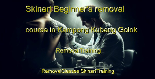 Skinart Beginner's removal course in Kampong Kubang Golok | #RemovalTraining #RemovalClasses #SkinartTraining-Malaysia