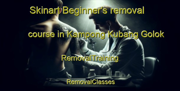 Skinart Beginner's removal course in Kampong Kubang Golok | RemovalTraining | RemovalClasses | SkinartTraining-Malaysia