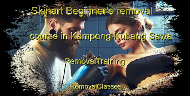 Skinart Beginner's removal course in Kampong Kubang Sawa | RemovalTraining | RemovalClasses | SkinartTraining-Malaysia