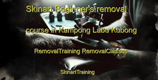 Skinart Beginner's removal course in Kampong Labu Kubong | #RemovalTraining #RemovalClasses #SkinartTraining-Malaysia