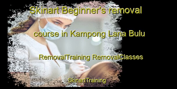 Skinart Beginner's removal course in Kampong Lana Bulu | #RemovalTraining #RemovalClasses #SkinartTraining-Malaysia